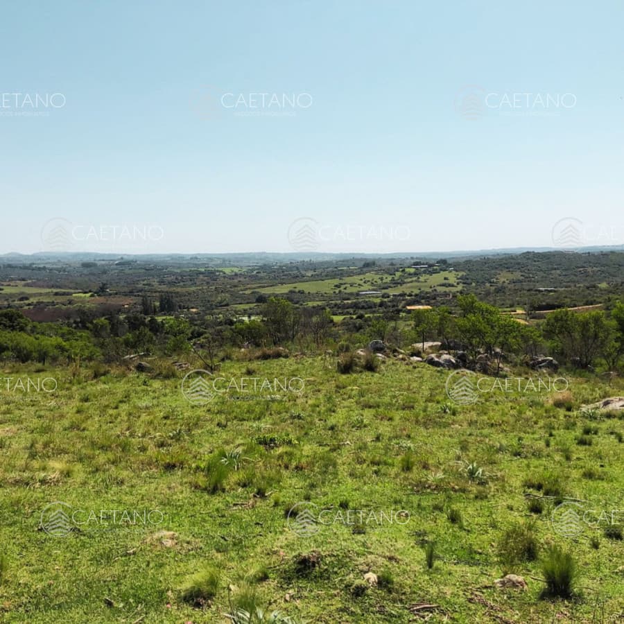 Chacra 6 Hectáreas en Venta