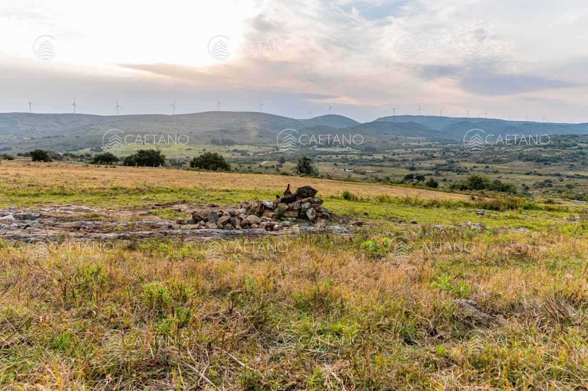Venta chacra 11 hectáreas Ruta 39 Maldonado