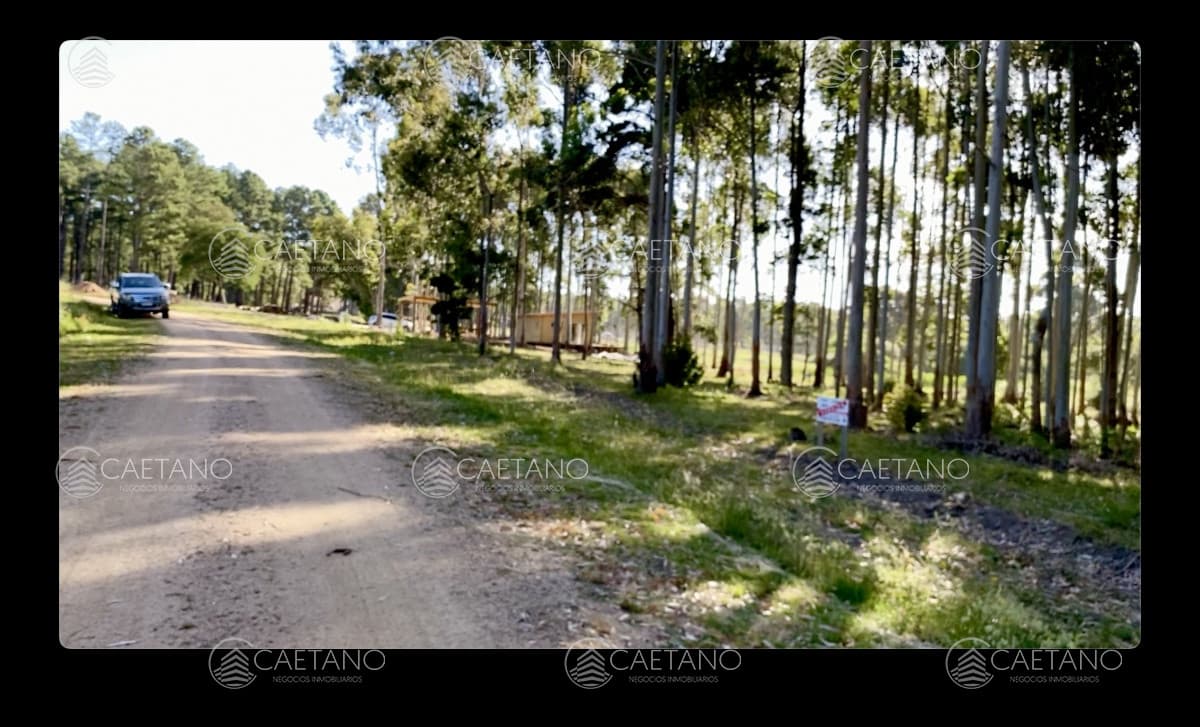 Excelente lote en chacras del Pinar