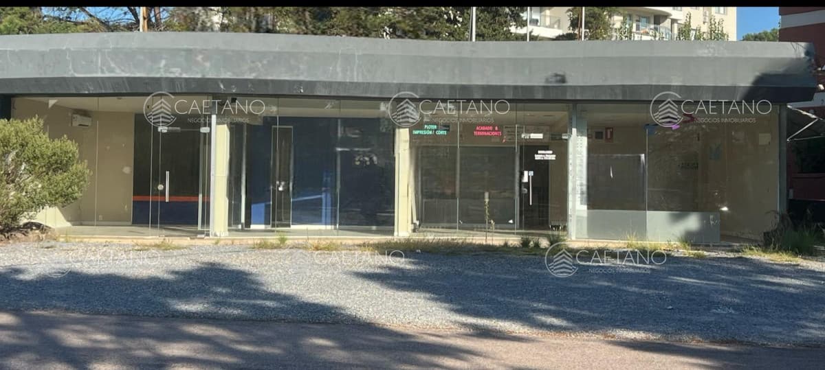 Local en alquiler en Punta del Este