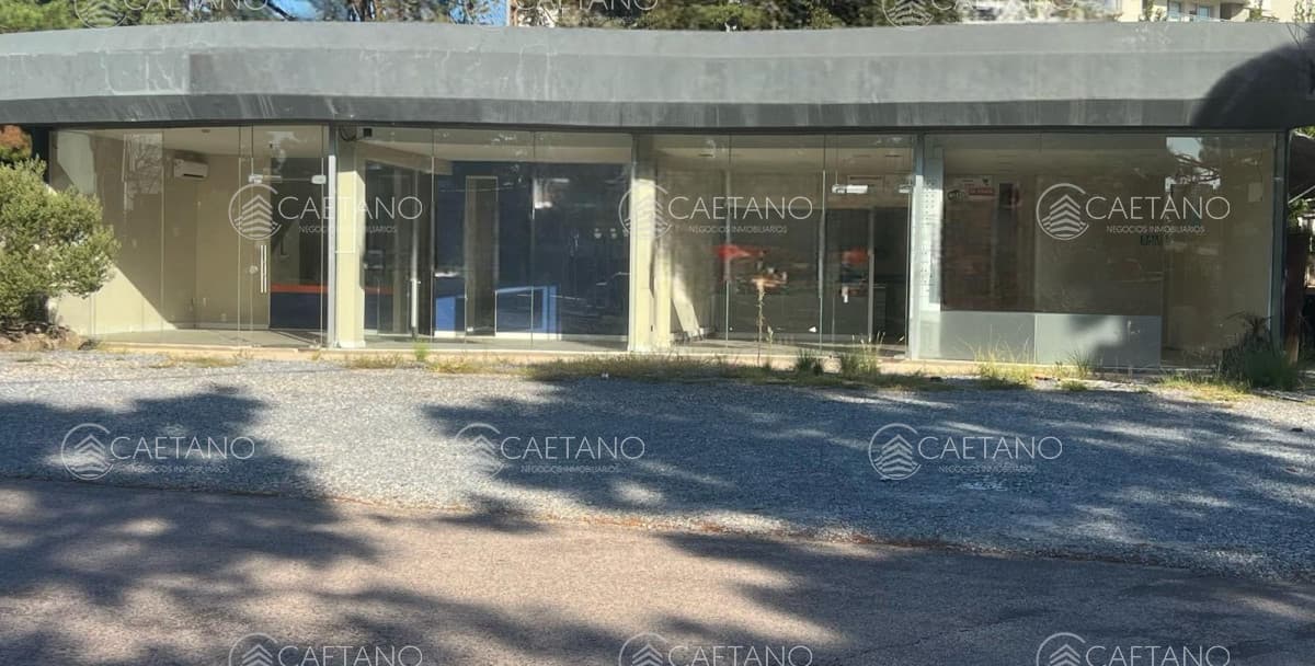 Local en alquiler en Punta del Este — foto 2