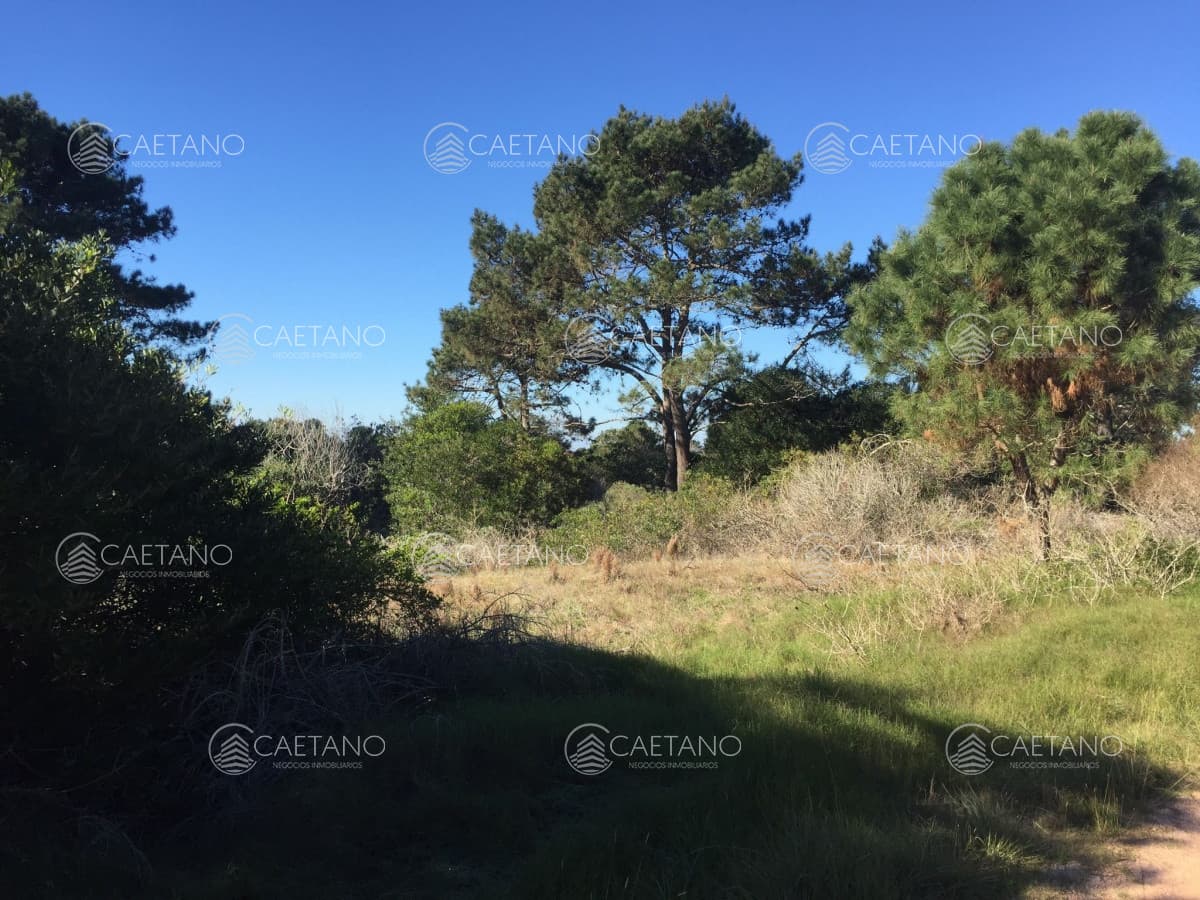 ARENAS DE JOSE IGNACIO - TERRENOS EN VENTA