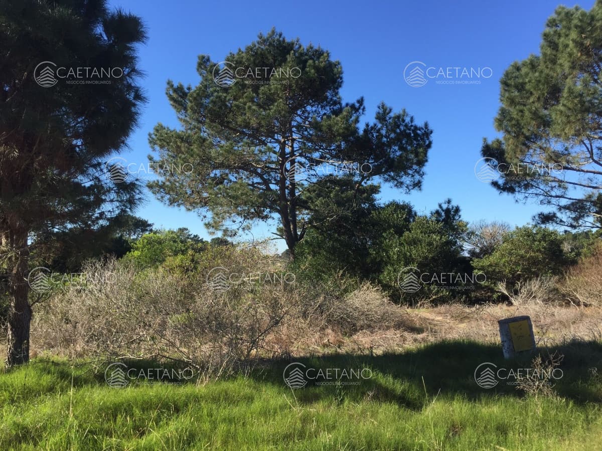 ARENAS DE JOSE IGNACIO - TERRENOS EN VENTA — foto 2