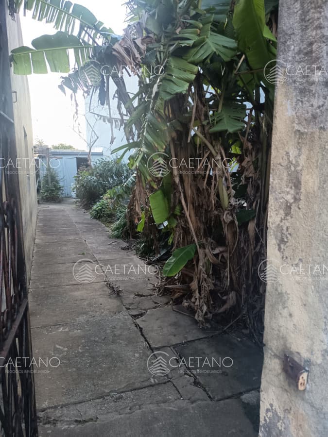 Venta casa centro de Maldonado. — foto 3