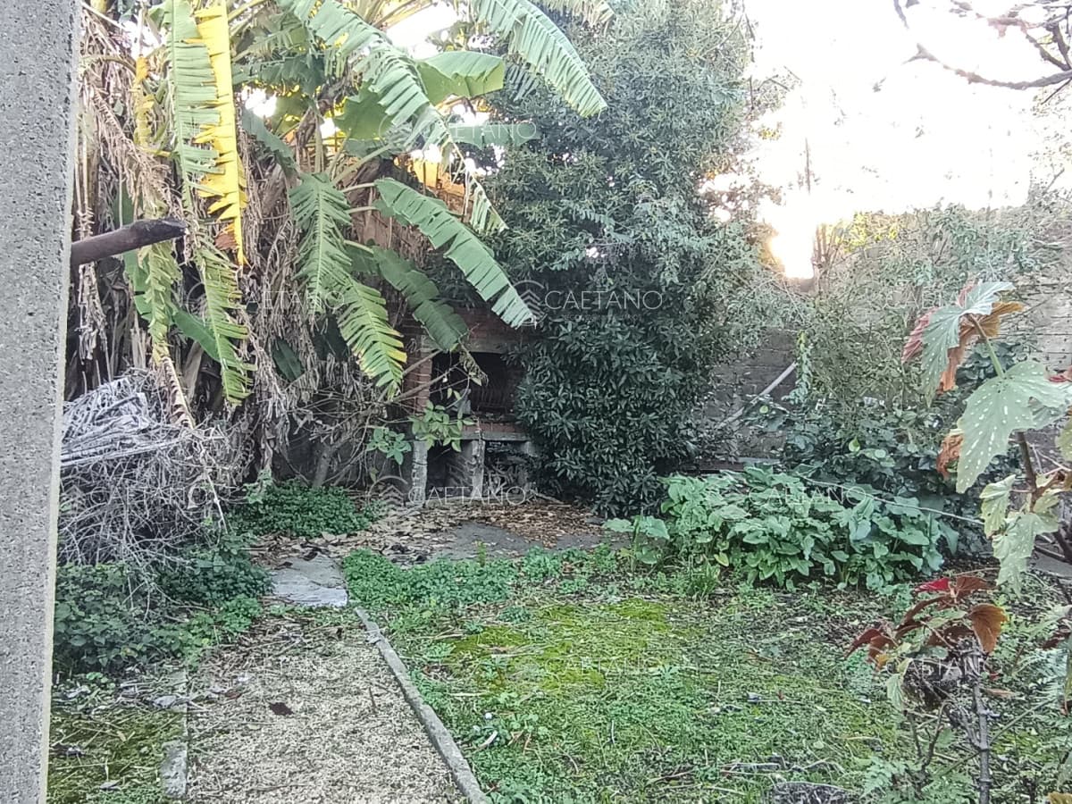 Venta casa centro de Maldonado. — foto 2