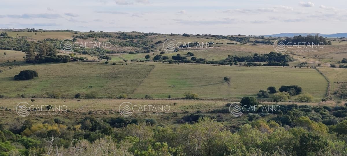 Campo Garzón
