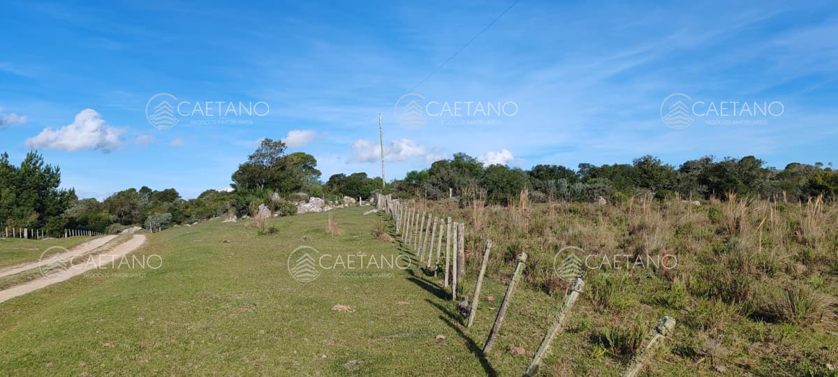 Campo Garzón — foto 2