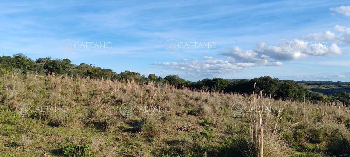 Campo Garzón — foto 3