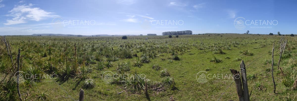 Chacra a la venta en Aigua — foto 2