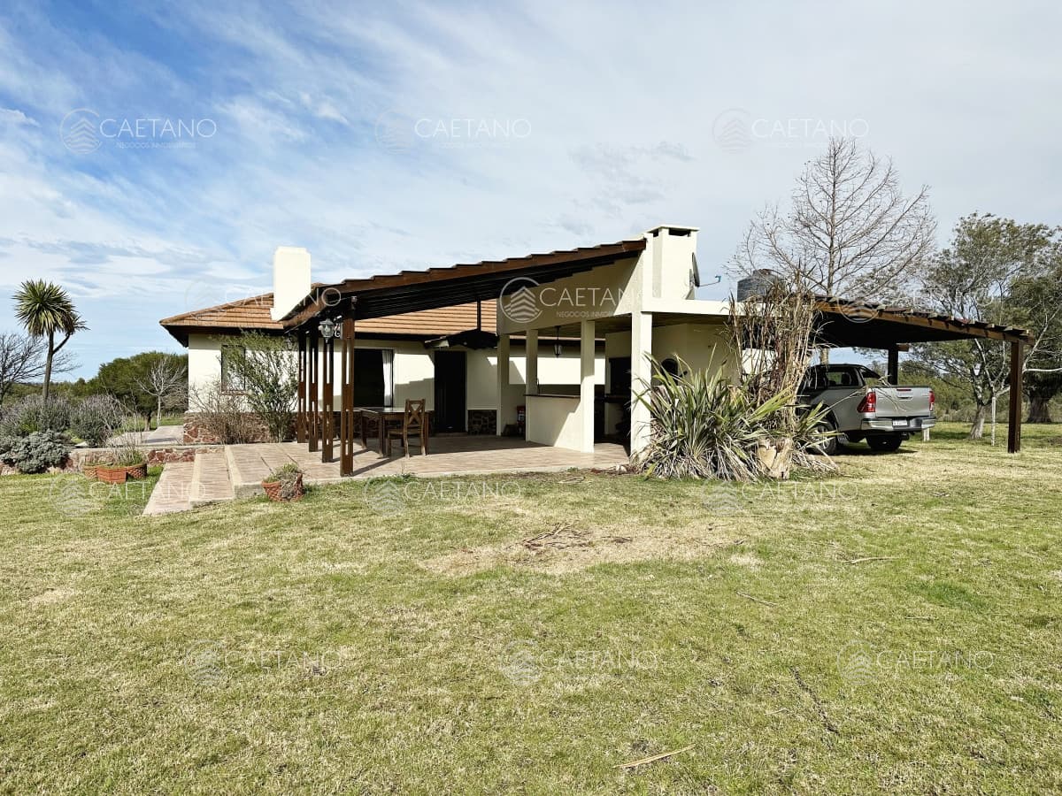 Campo olivar sobre la Ruta 8 de Minas — foto 2