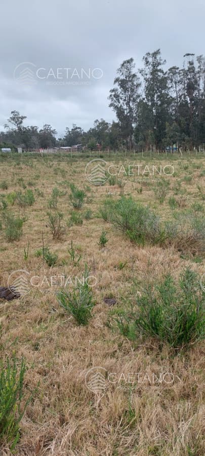 Oportunidad inversión Venta Chacra con Vivienda  Camino Los Ceibos — foto 3