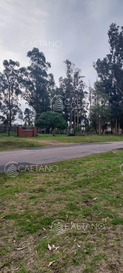 Oportunidad inversión Venta Chacra con Vivienda  Camino Los Ceibos — foto 2
