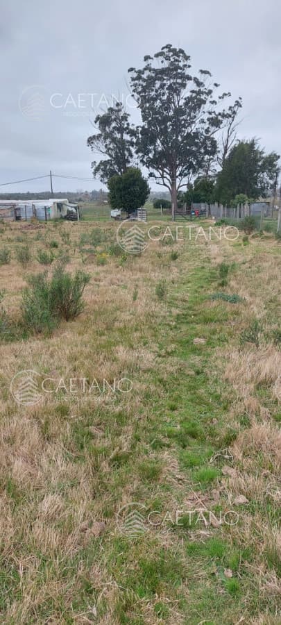 Oportunidad inversión Venta Chacra con Vivienda  Camino Los Ceibos