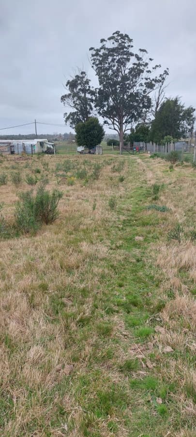 Oportunidad inversión Venta Chacra con Vivienda  Camino Los Ceibos