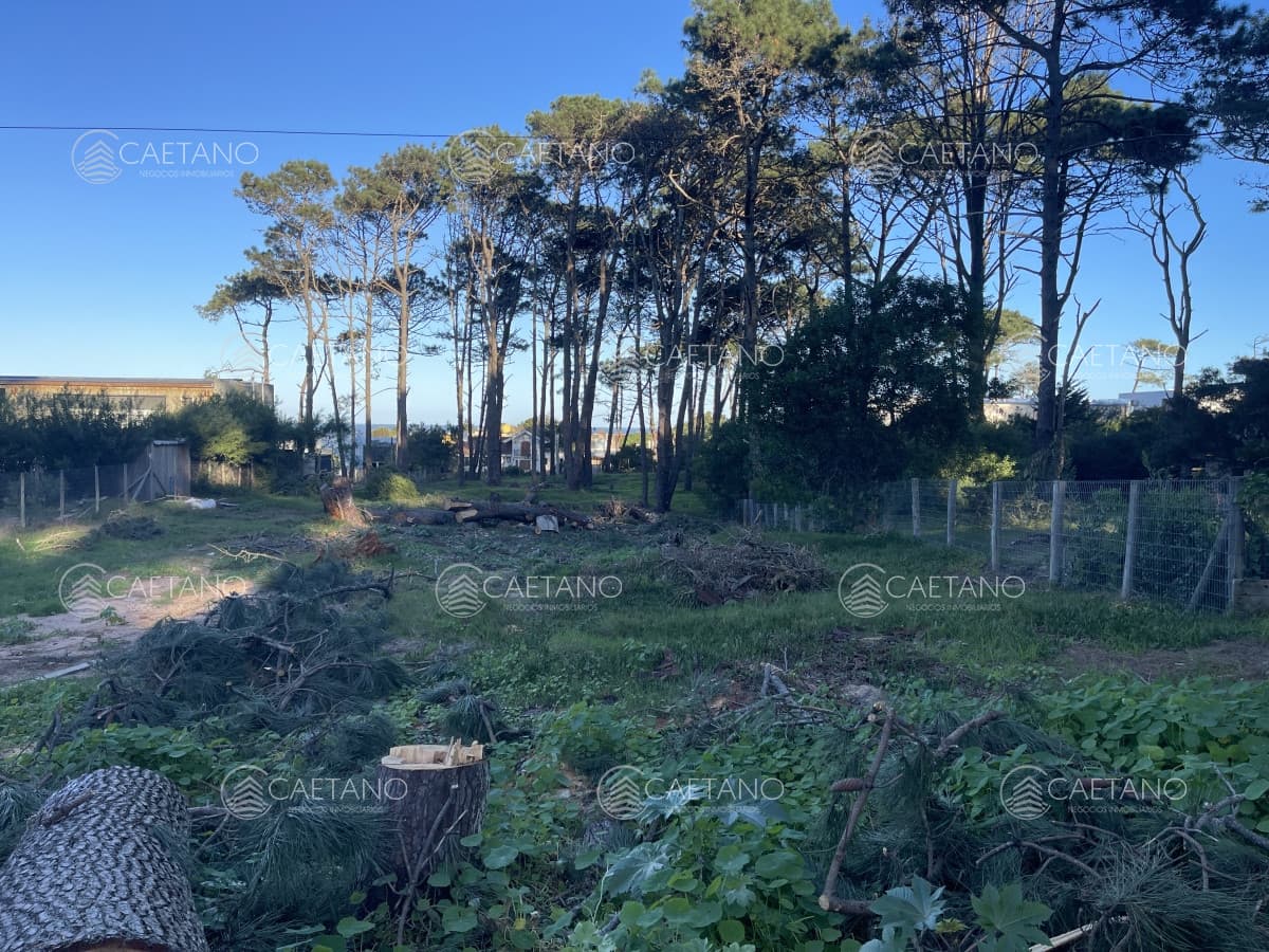 Terreno en venta en Montoya, La Barra de 600m2 — foto 3