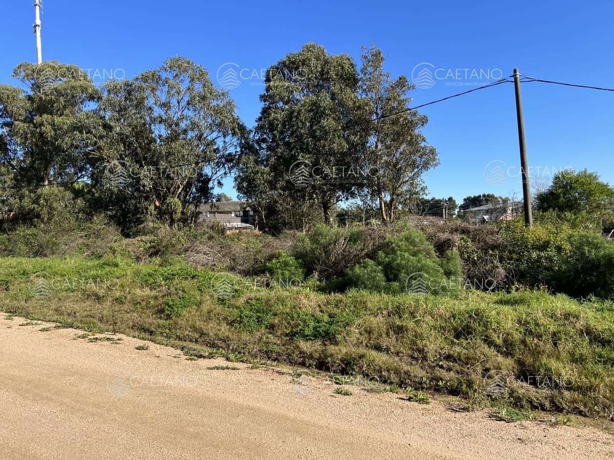 Terreno en El Chorro, 547m2, sobre calle Tiburones — foto 2