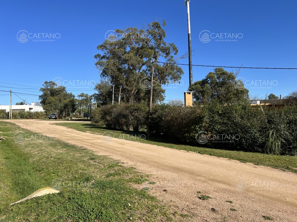 Terreno en El Chorro sobre calle Brótolas, 501m2 — foto 3