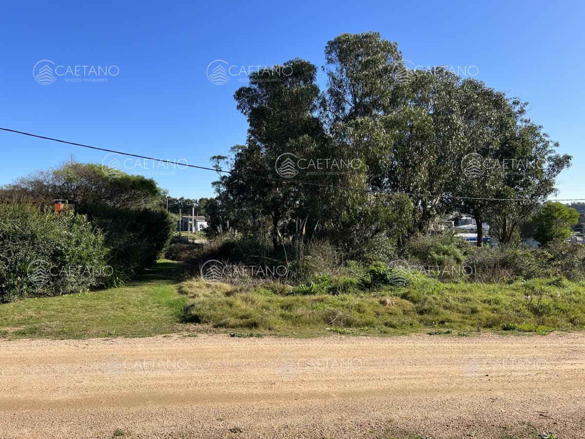 Terreno en El Chorro sobre calle Brótolas, 501m2 — foto 2