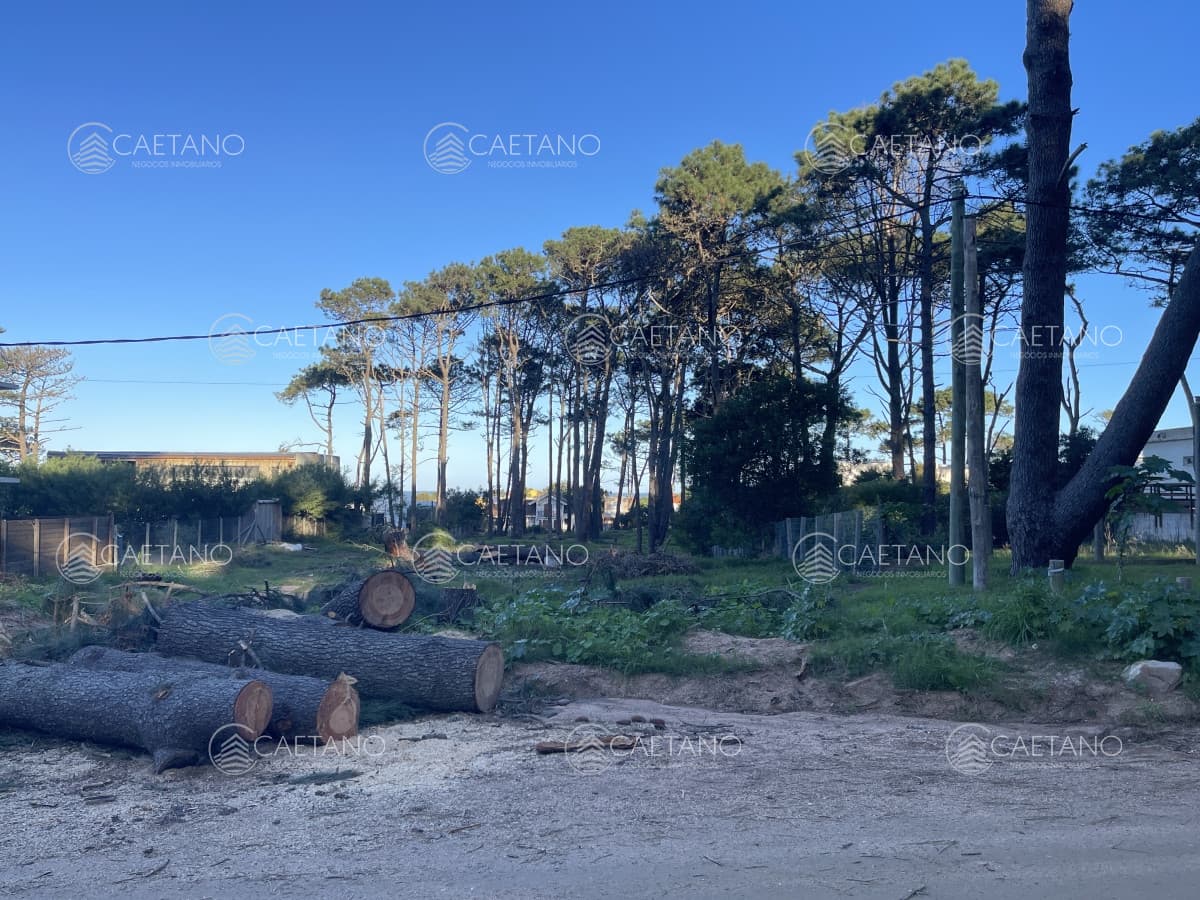Terreno en venta en Montoya, La Barra de 600m2 — foto 2