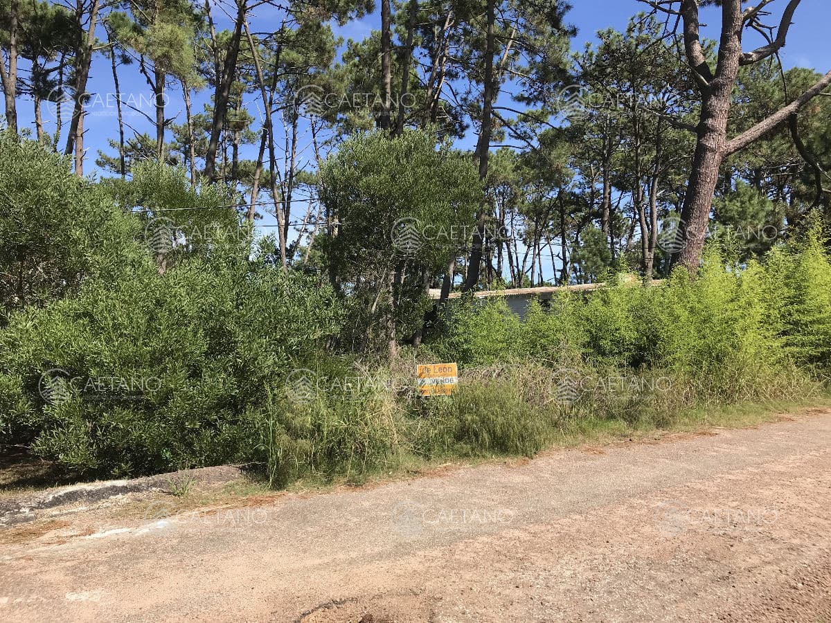 Oportunidad terreno en venta Montoya, La Barra — foto 3