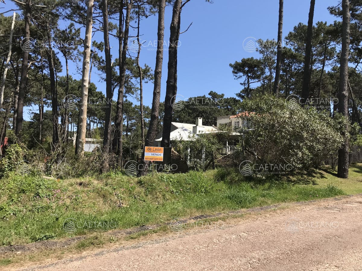 Buen lote en venta en Montoya, La Barra