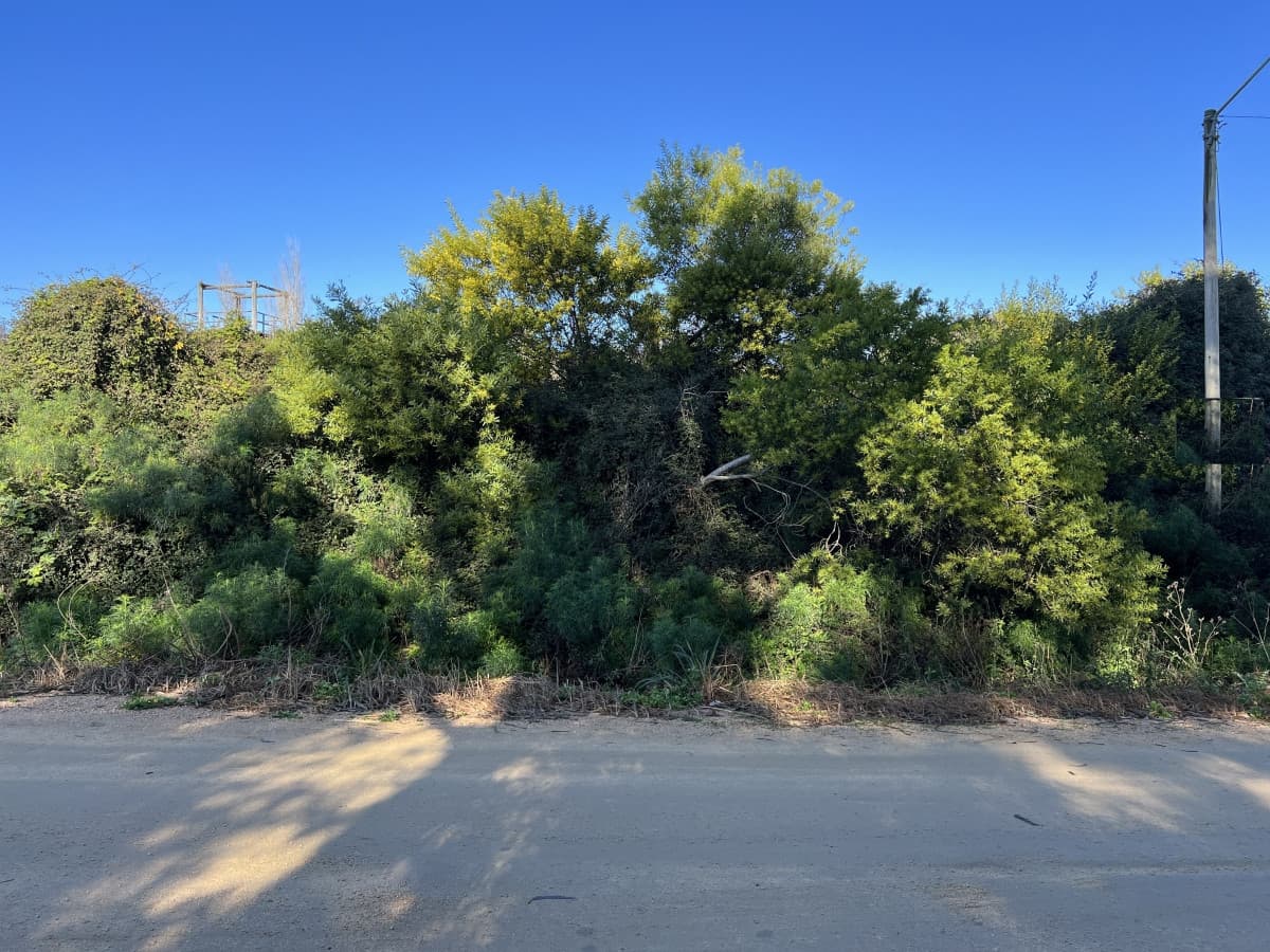 Terreno en venta en El Chorro