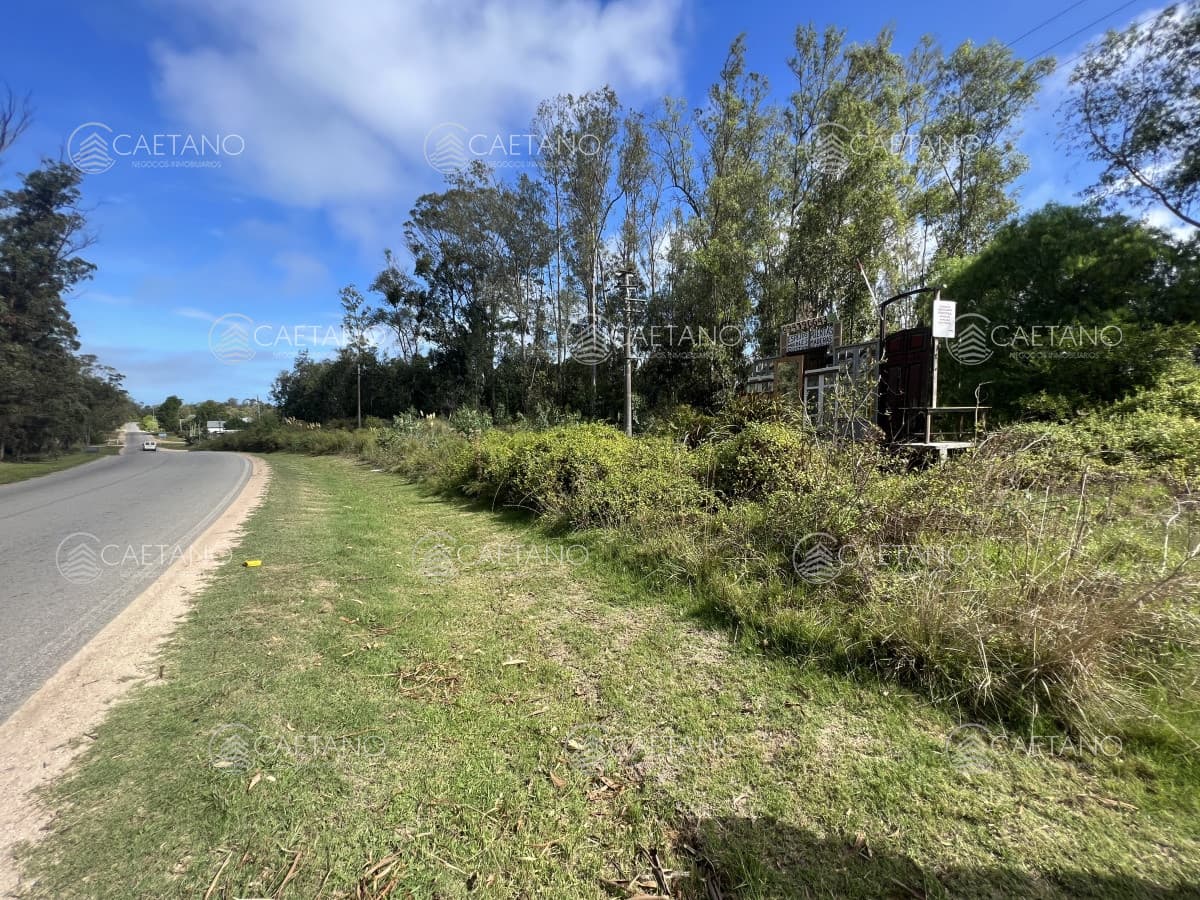 8 Terrenos de 500 m2 aprox en El Tesoro - La Barra — foto 2