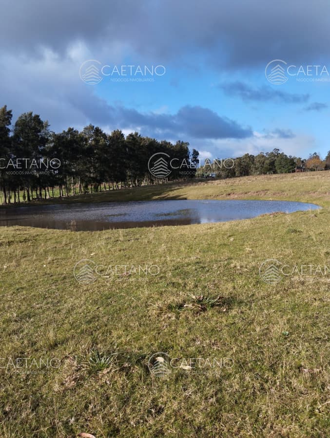 Venta Chacra 8 Hás San Carlos R39 — foto 3