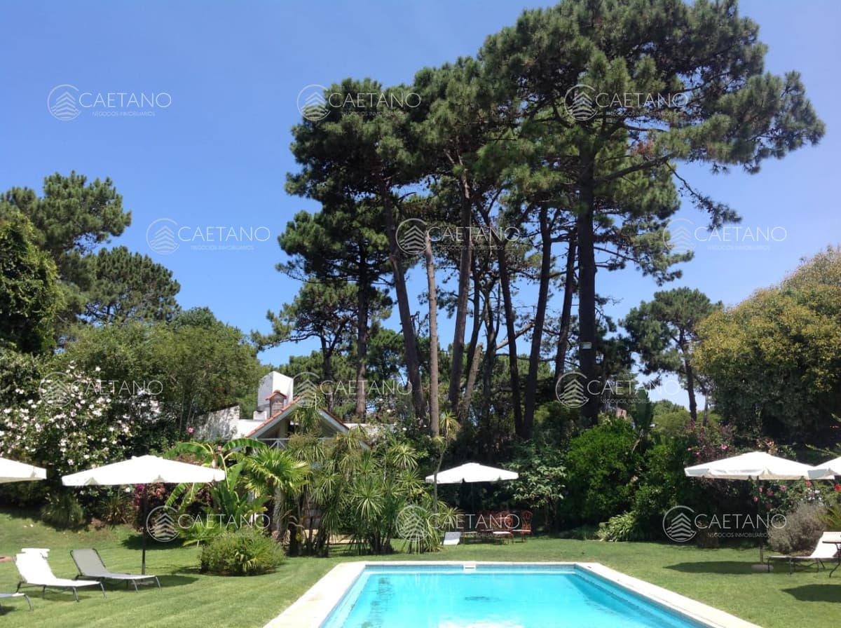 Venta casa 4 dormitorios playa mansa. Punta del Este. — foto 2