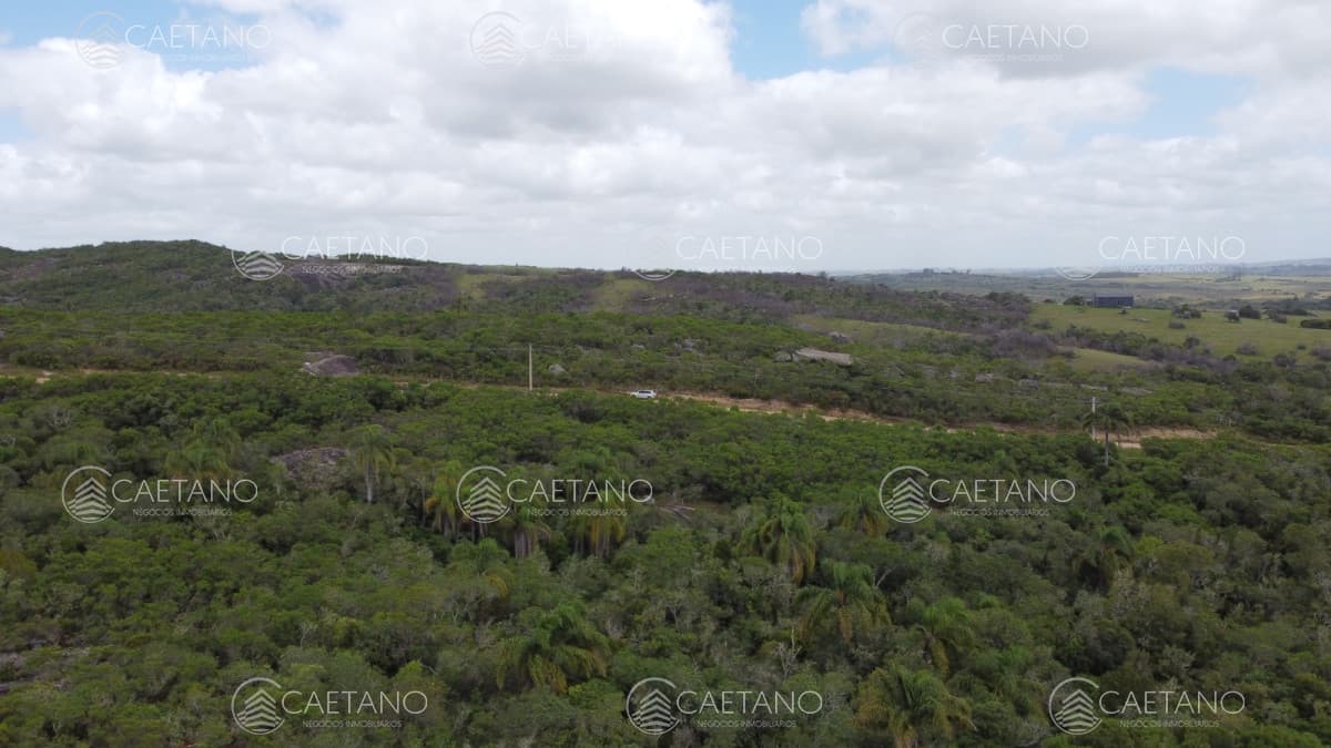 Chacra de 11 Hectareas y media en garzon — foto 2
