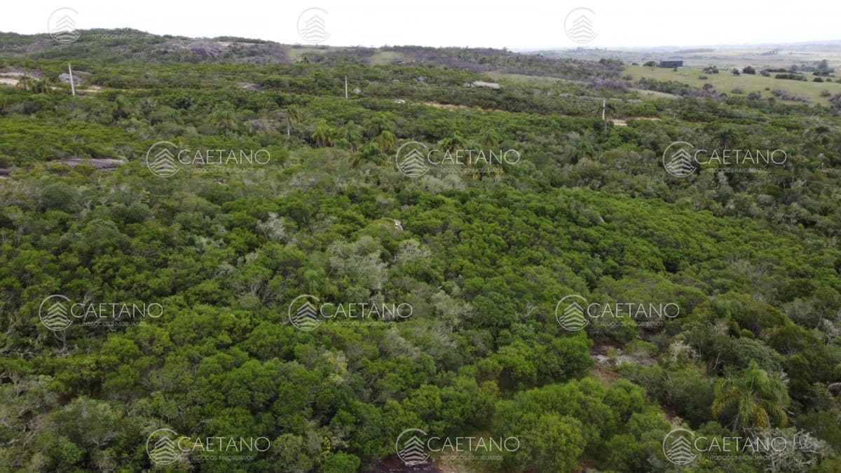 Chacra de 11 Hectareas y media en garzon