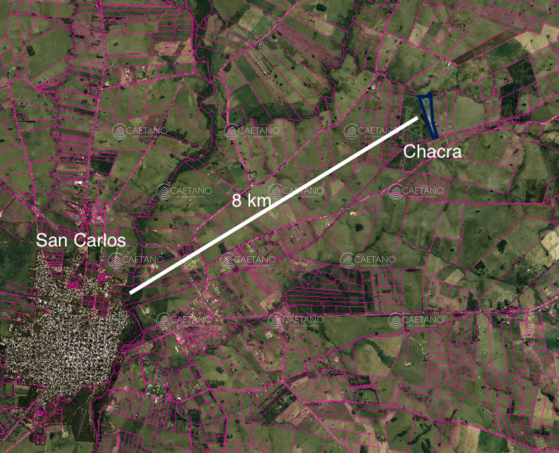 CHACRA 15 has - SAN CARLOS — foto 2