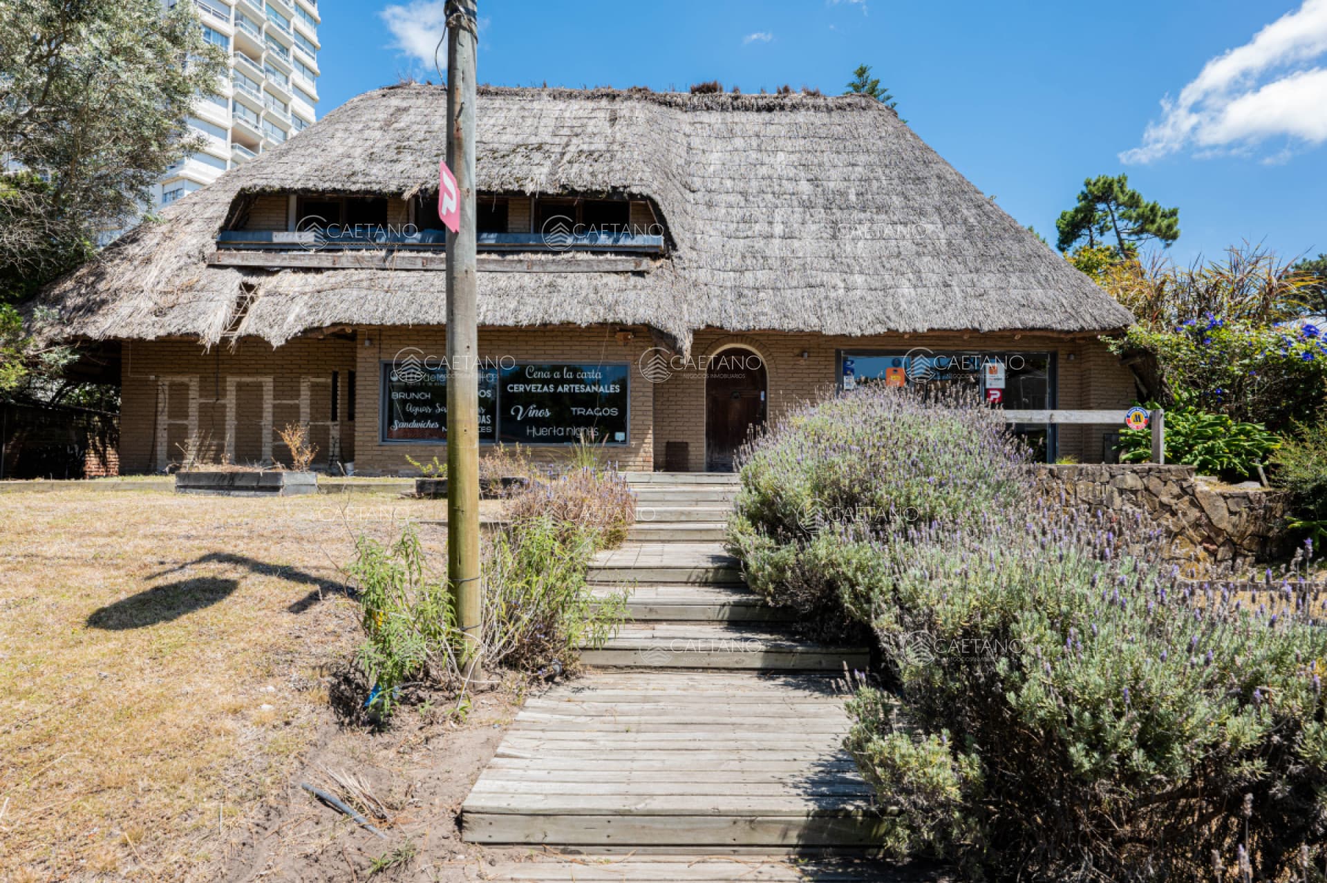 LOCAL COMERCIAL - AV PEDRAGOSA SIERRA