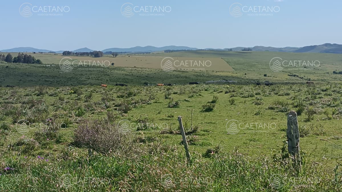 Venta de Chacra en ruta 12