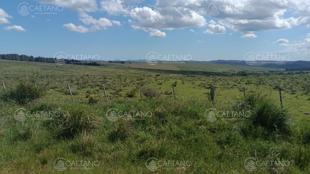 Venta de Chacra en ruta 12 — foto 2