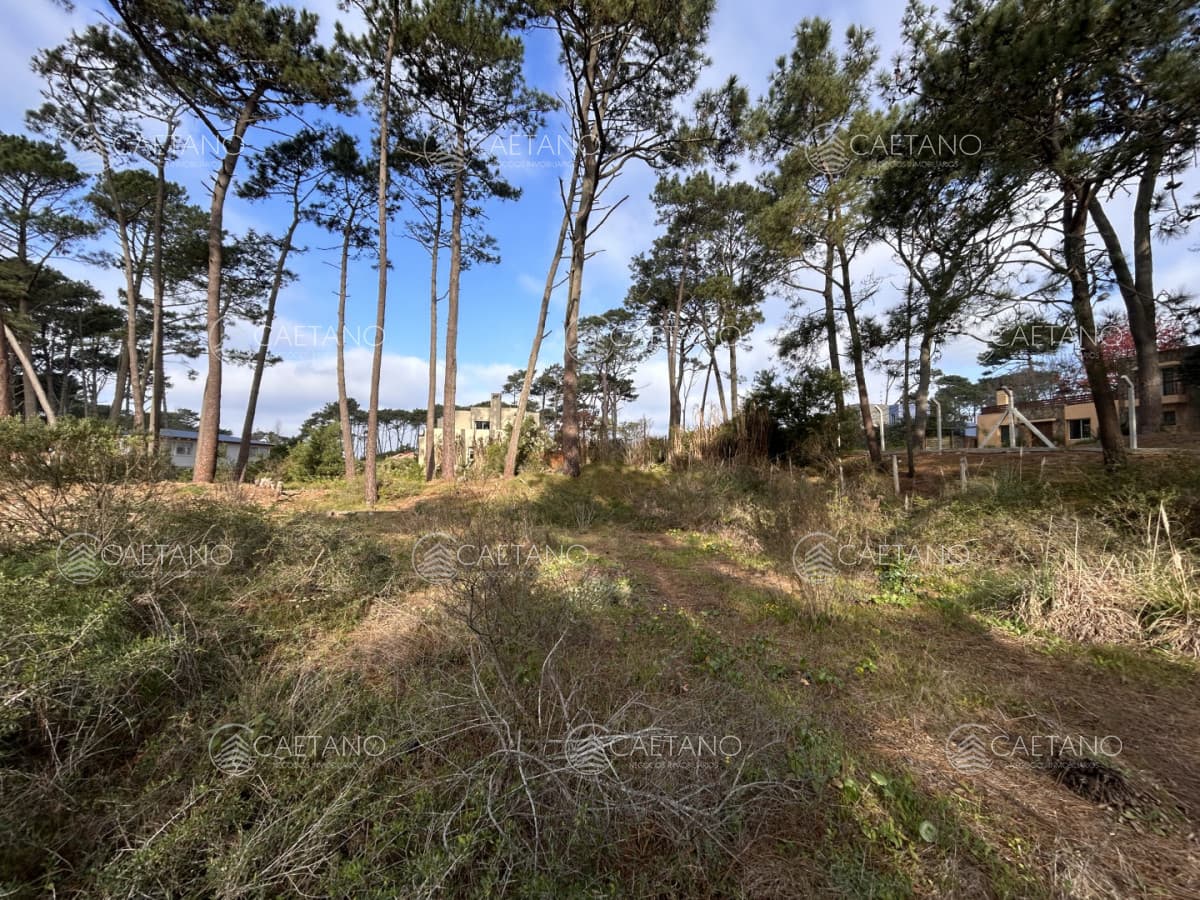 Venta de terreno en Laguna Blanca