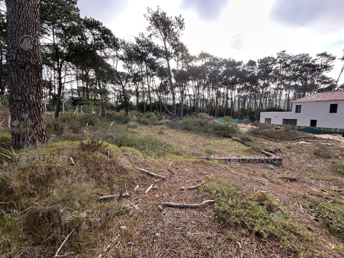 Venta de terreno en Laguna Blanca — foto 2
