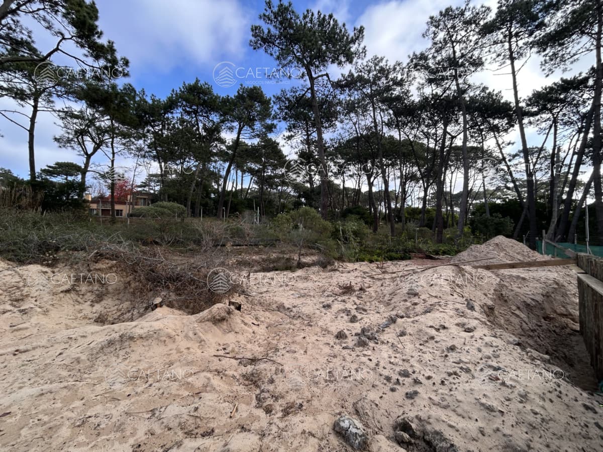 Venta de terreno en Laguna Blanca — foto 3