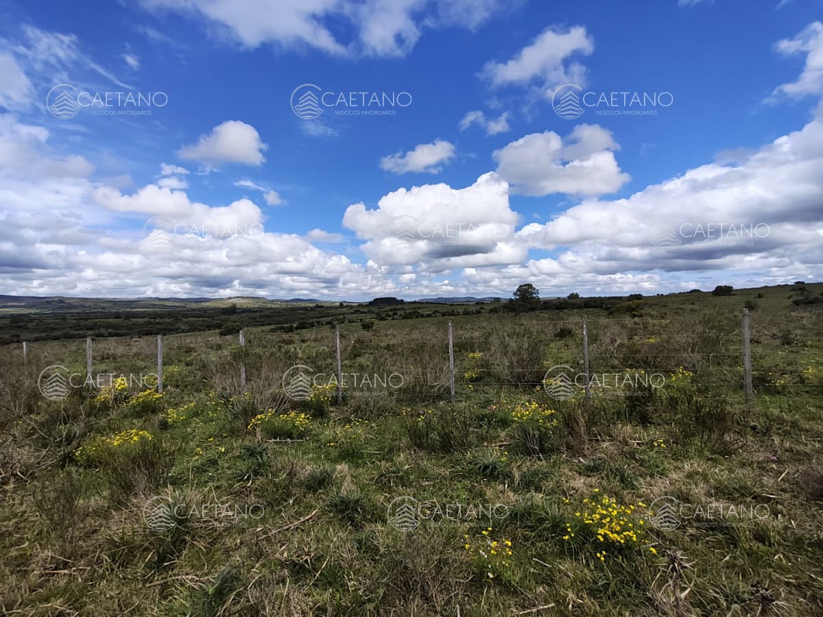 Venta chacras 3 hectáreas. Pueblo Eden, Maldonado. — foto 3