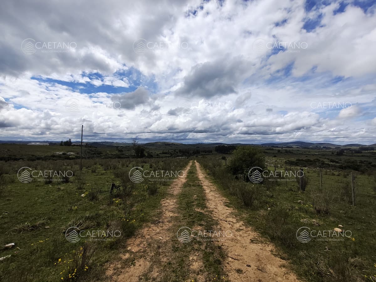 Venta chacras 3 hectáreas. Pueblo Eden, Maldonado.