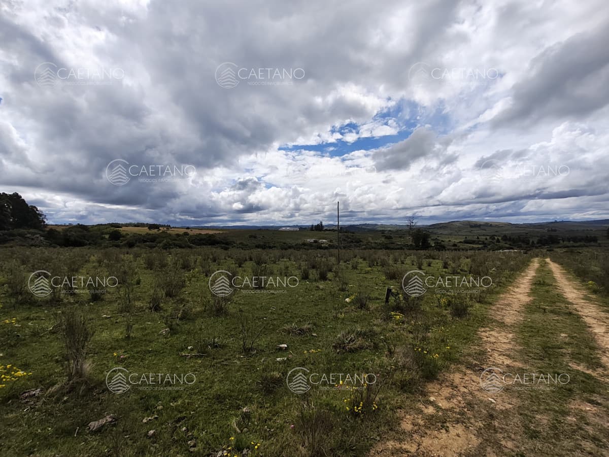 Venta chacras 3 hectáreas. Pueblo Eden, Maldonado. — foto 2