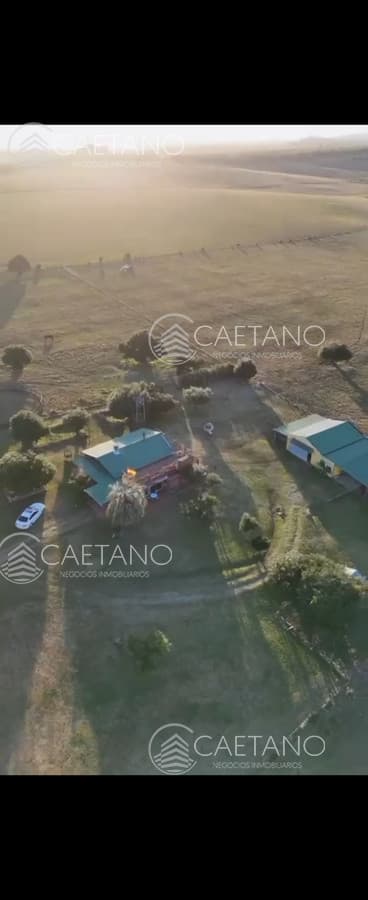 Chacra con casa en Pueblo Edén — foto 2
