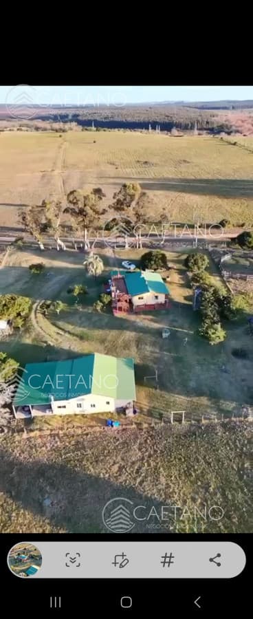 Chacra con casa en Pueblo Edén — foto 3