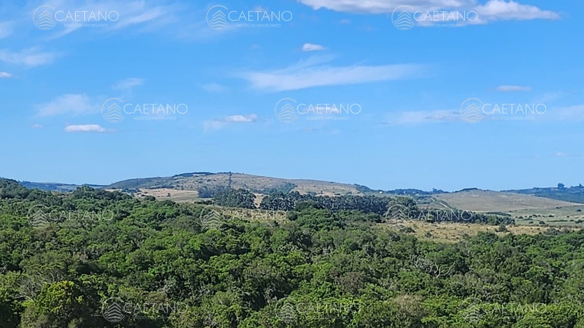 Campo 60 hs en Pueblo Edén Ruta 12 — foto 3