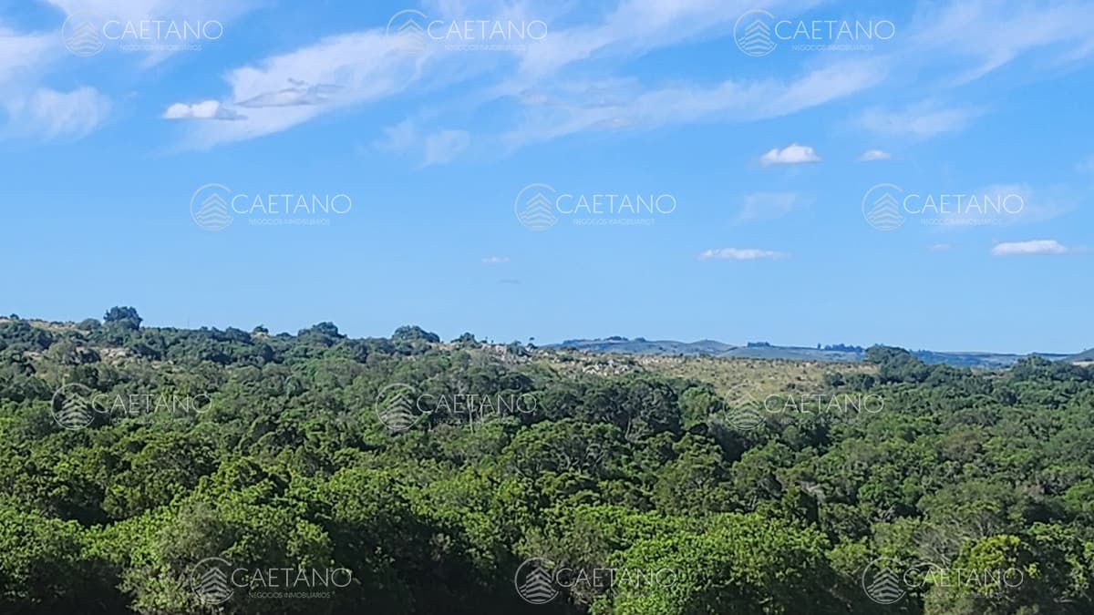 Campo 60 hs en Pueblo Edén Ruta 12 — foto 2