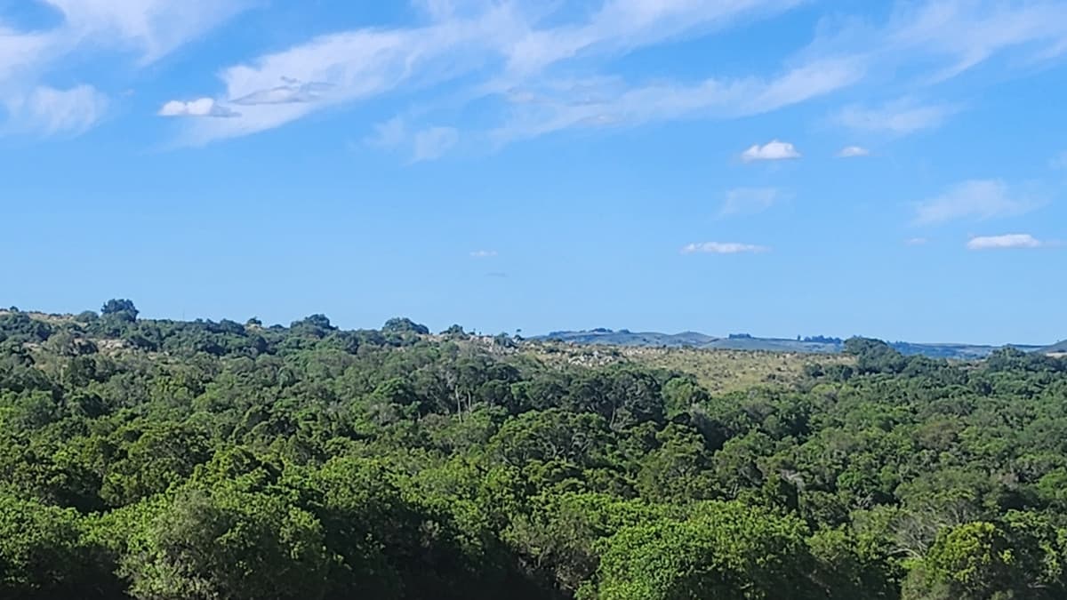 Terreno en alquiler en Pueblo Eden