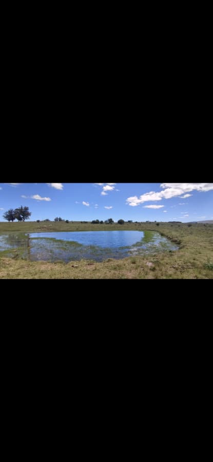 Campo en venta en Pueblo Edén