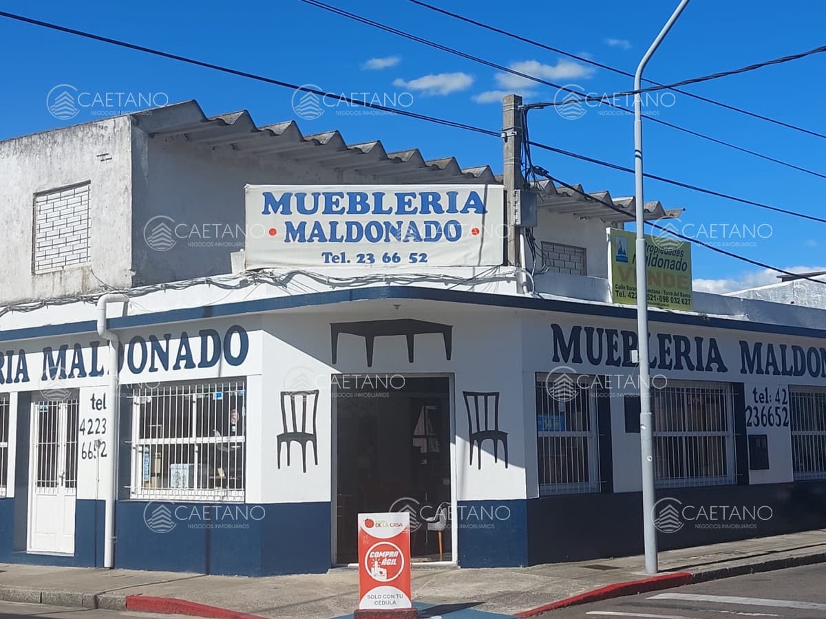 VENTA ESTABLECIMIENTO COMERCIAL — foto 2