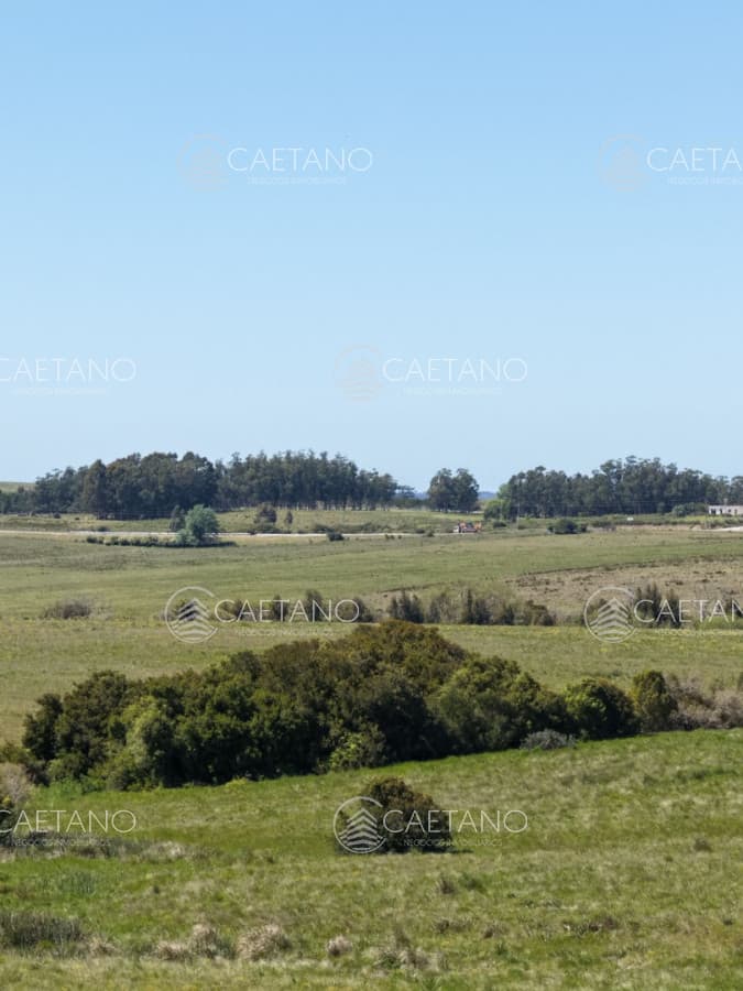 24 chacras de 3 hectareas