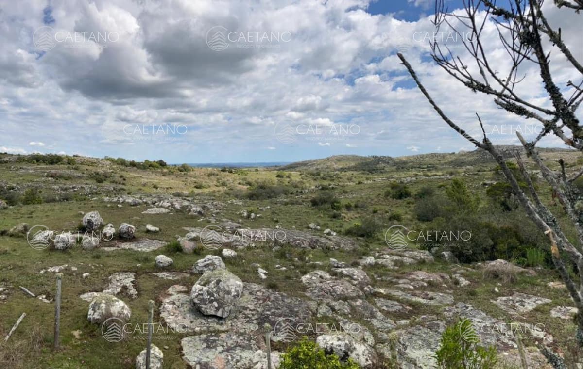 VENTA DE CAMPO PRÓXIMO AIGUA 5 HAS